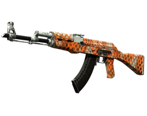 AK-47 | Safety Net