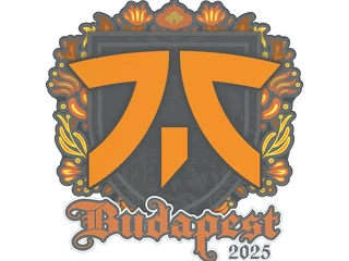 Sticker | fnatic | Budapest 2025