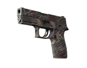 P250 | Facility Draft