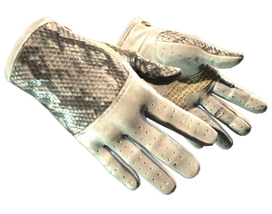 ★ Driver Gloves | King Snake