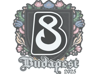 Sticker | B8 | Budapest 2025