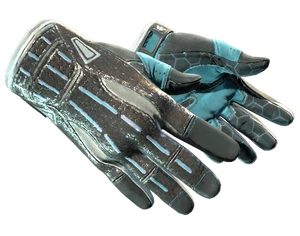 ★ Sport Gloves | Superconductor