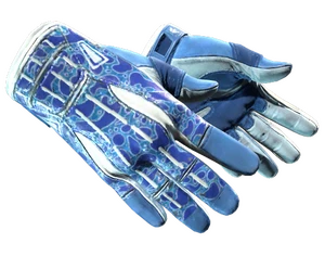 ★ Sport Gloves | Amphibious