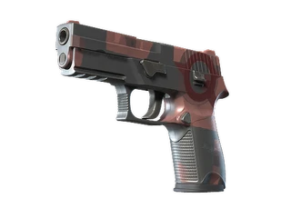 P250 | Constructivist